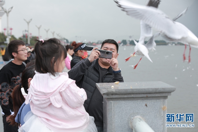 1310279815_16355960518591n 1310279815_16355960518591n