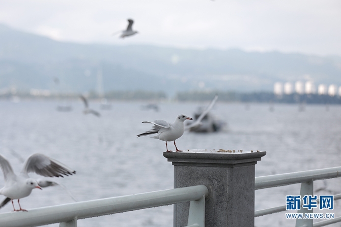 1310279815_16355960521211n 1310279815_16355960521211n