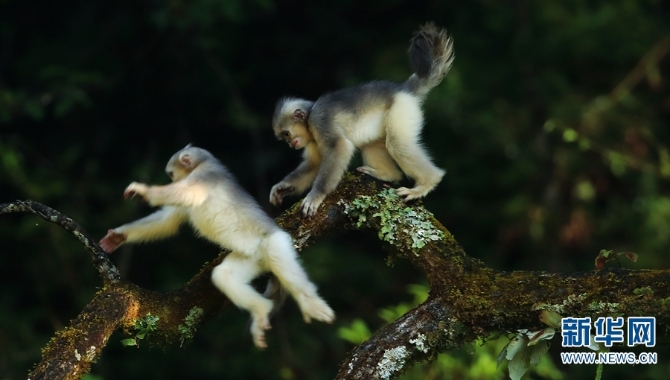 1310279523_16355887721541n 1310279523_16355887721541n