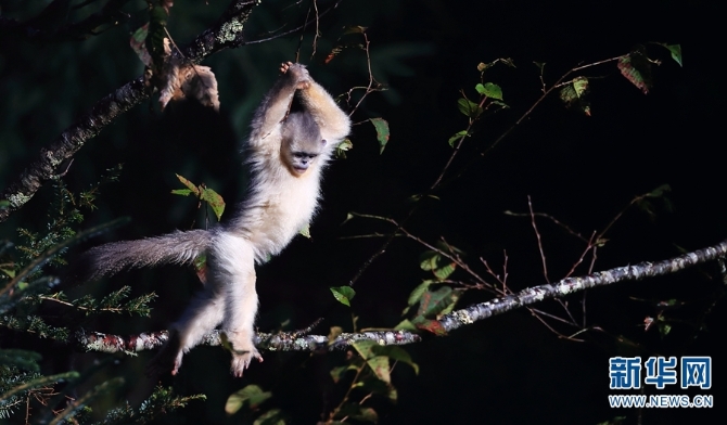 1310279523_16355887722851n 1310279523_16355887722851n