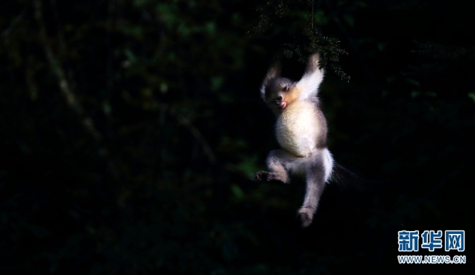 1310279523_16355887723701n 1310279523_16355887723701n