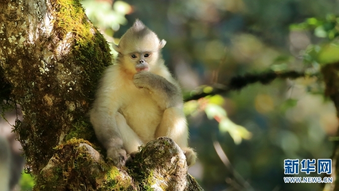 1310279523_16355887725011n 1310279523_16355887725011n