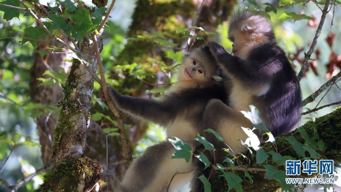 1310279523_16355887725741n 1310279523_16355887725741n