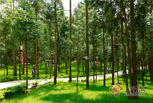 00304264376_74b5dafc 00304264376_74b5dafc