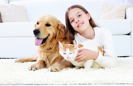 3c0ea8b71e4e4ff69e7fcbfd73de061e 3c0ea8b71e4e4ff69e7fcbfd73de061e