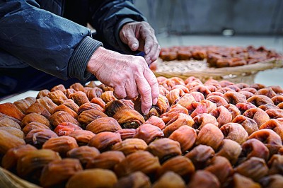 f44d30753d2722f11f631c