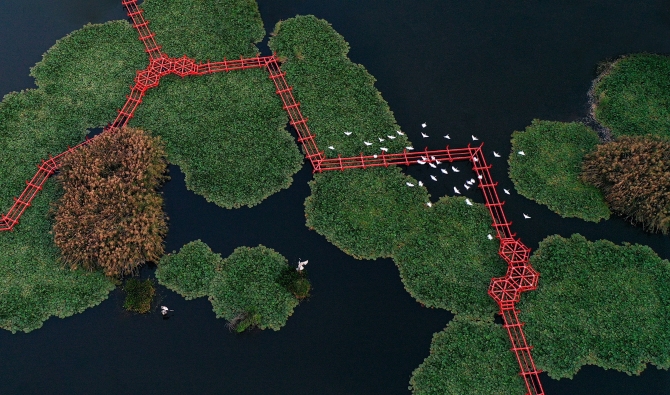 二等獎(jiǎng)《留戀》 作者：張瑩潔