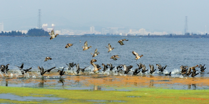 三等獎(jiǎng)《奮飛》作者：王興銘