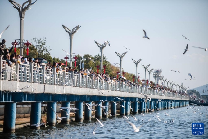 20211108300fe10adb244b22a206c7d15227aa0f_49r1z6v86HBXdzl4tr.jpg 20211108300fe10adb244b22a206c7d15227aa0f_49r1z6v86HBXdzl4tr.jpg