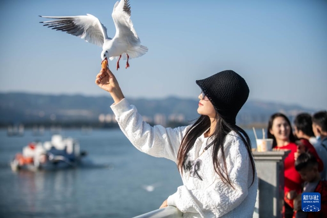 20211108300fe10adb244b22a206c7d15227aa0f_51Q2idahEtfVrPXXdu.jpg 20211108300fe10adb244b22a206c7d15227aa0f_51Q2idahEtfVrPXXdu.jpg