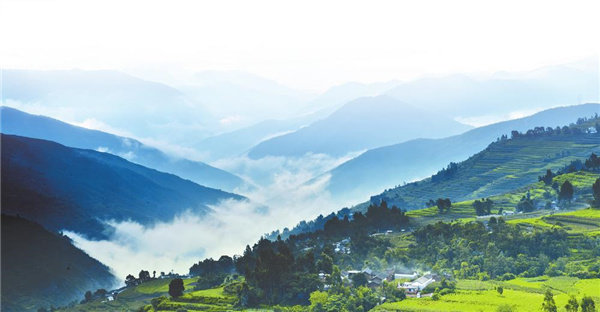 11750f1c-4516-4d18-ad01-b784de1cfddc 11750f1c-4516-4d18-ad01-b784de1cfddc