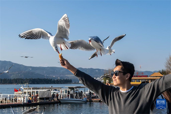 1310297964_16363519294581n 1310297964_16363519294581n