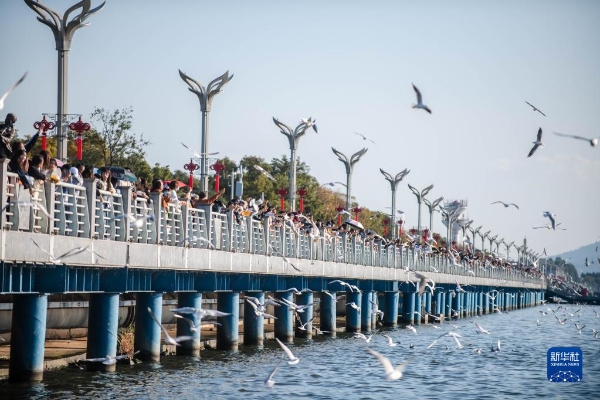 1310297964_16363519295171n 1310297964_16363519295171n