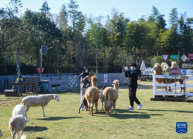 1310304189_16365951213271n