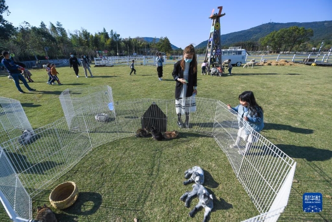 1310304189_16365951213821n