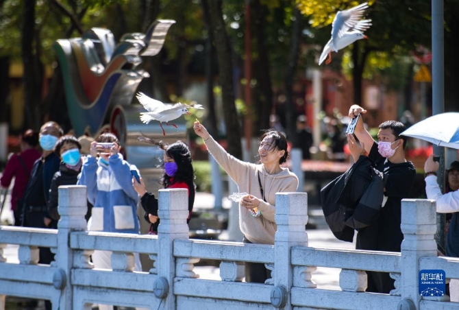 1310304983_16366210241861n 1310304983_16366210241861n