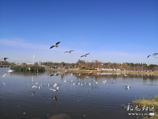 ywfj6bevbpn ywfj6bevbpn