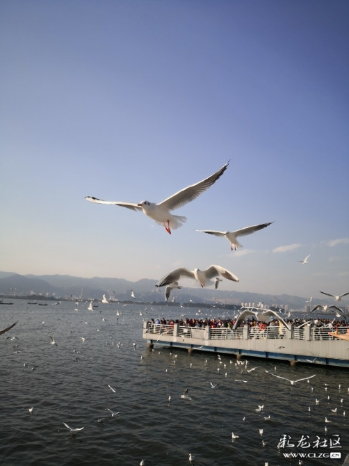 3g6zy2xxikk 3g6zy2xxikk