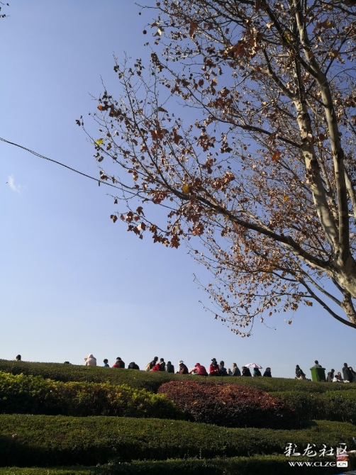 cjfo0bnm4ps cjfo0bnm4ps