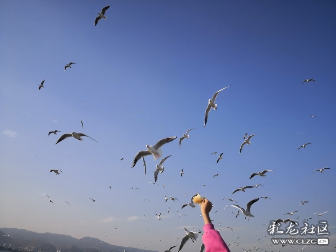 xwakxvr3mco xwakxvr3mco