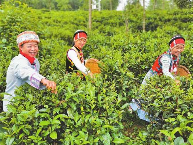 04fff43b-8f89-4ef4-9c63-3ea49a46e61c 04fff43b-8f89-4ef4-9c63-3ea49a46e61c