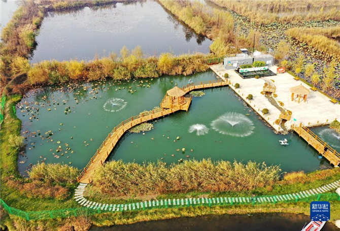 1128062589_16368634775001n 1128062589_16368634775001n