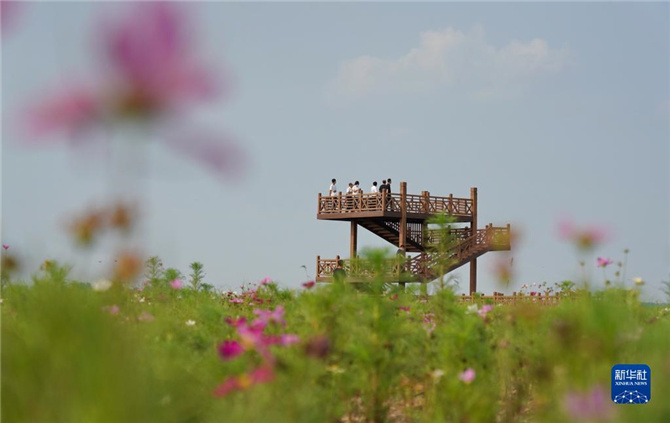 1128062589_16368635271701n 1128062589_16368635271701n