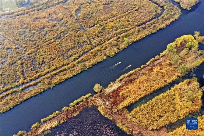 1128062589_16368635388041n 1128062589_16368635388041n