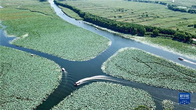 1128062589_16368635460351n 1128062589_16368635460351n