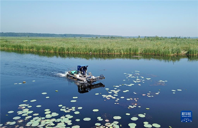 1128062589_16368635547401n 1128062589_16368635547401n