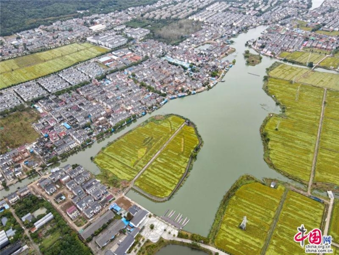 17004082-49fb-4ed7-969e-c4326d117414_batchwm 17004082-49fb-4ed7-969e-c4326d117414_batchwm