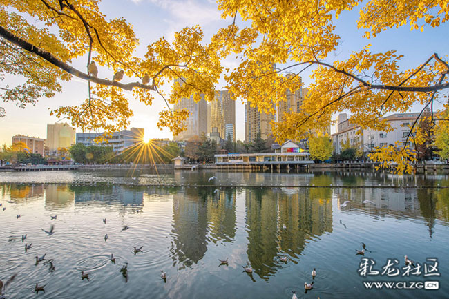 1yf4bxgq0rpi 1yf4bxgq0rpi