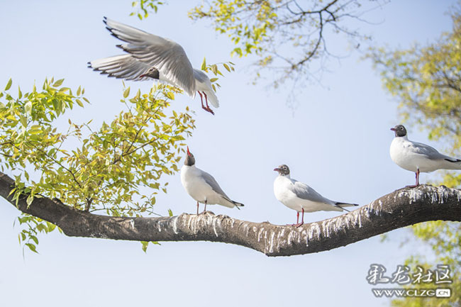 bgk2vhji4u6 bgk2vhji4u6