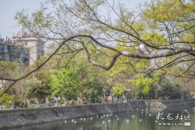 b49x7fjrrxs b49x7fjrrxs