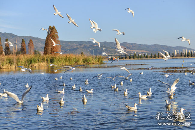 bmo53kjua7h bmo53kjua7h