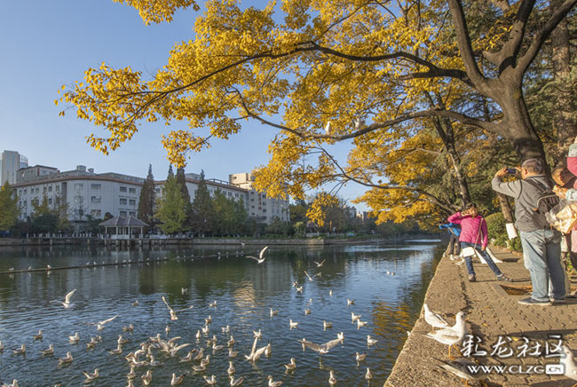 9dsbsh7v2d9 9dsbsh7v2d9