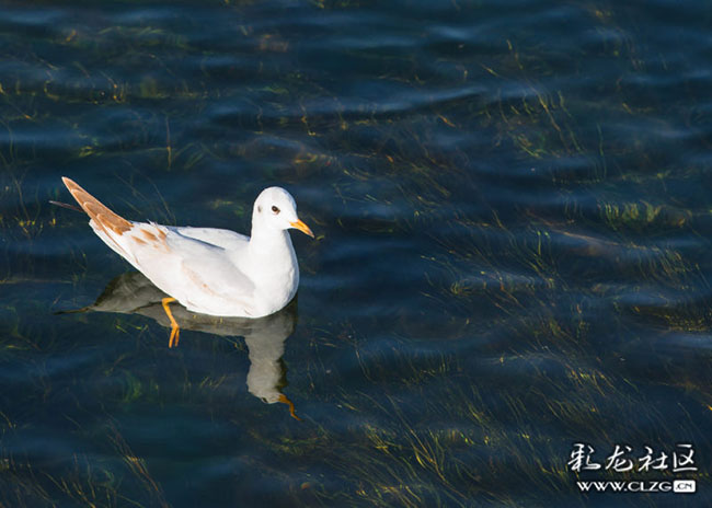 fwrwqts5jze fwrwqts5jze