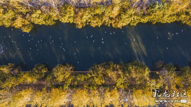 byl8vgcurr byl8vgcurr