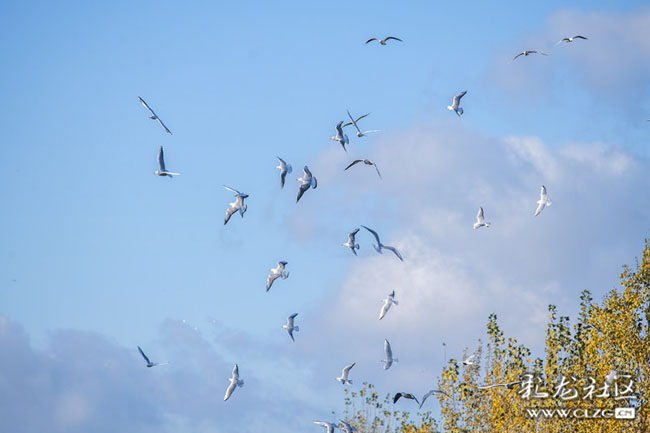 k9od833nmp k9od833nmp