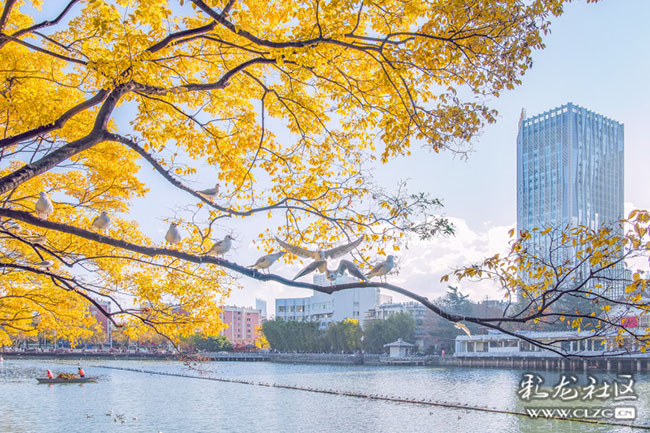 7fl8yow3524 7fl8yow3524