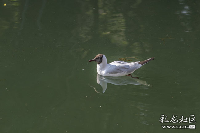 nft0mf1t5cn nft0mf1t5cn