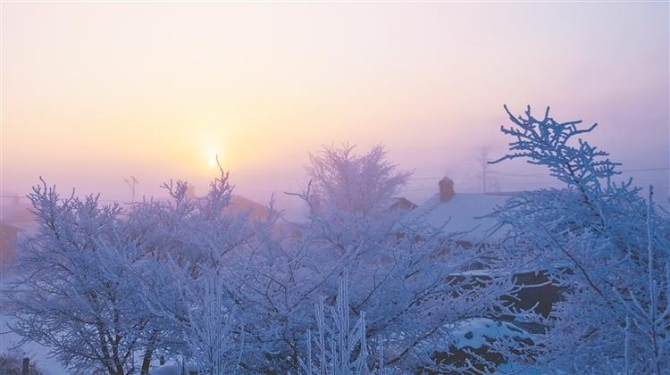 W020211116514489150748 W020211116514489150748