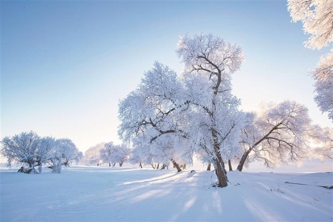 W020211116514489184010 W020211116514489184010