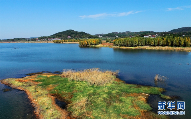 1128054585_16366157360671n