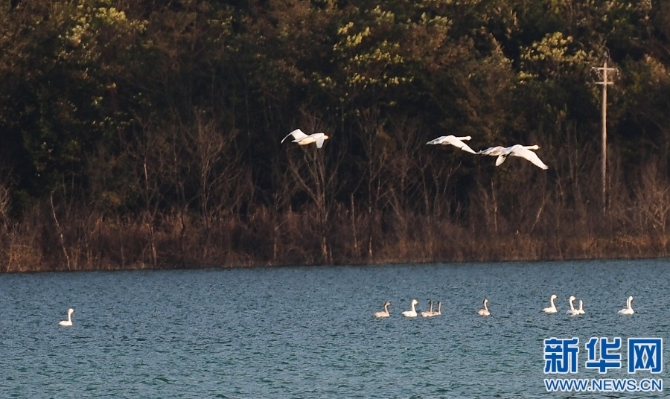 1128063003_16368780720491n 1128063003_16368780720491n