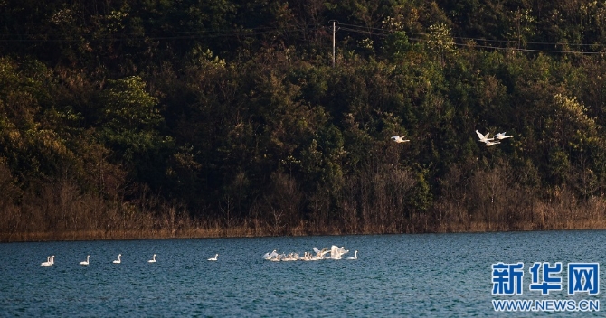 1128063003_16368780720971n 1128063003_16368780720971n