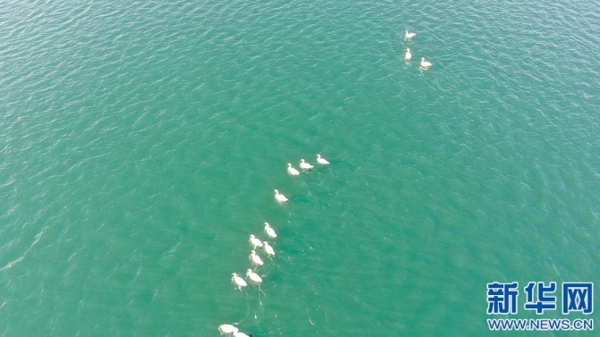 1128063003_16368780721421n 1128063003_16368780721421n