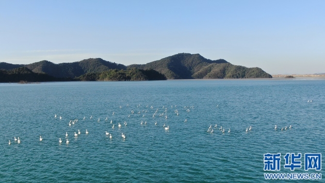 1128063003_16368780721841n 1128063003_16368780721841n