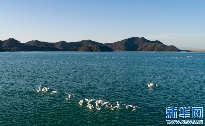 1128063003_16368780722241n 1128063003_16368780722241n