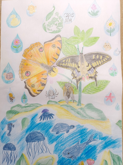 微信圖片_20211117105326